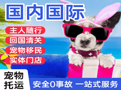 西昌机场快递国际宠物托运 【国